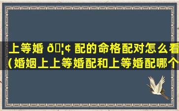 上等婚 🦢 配的命格配对怎么看（婚姻上上等婚配和上等婚配哪个好）